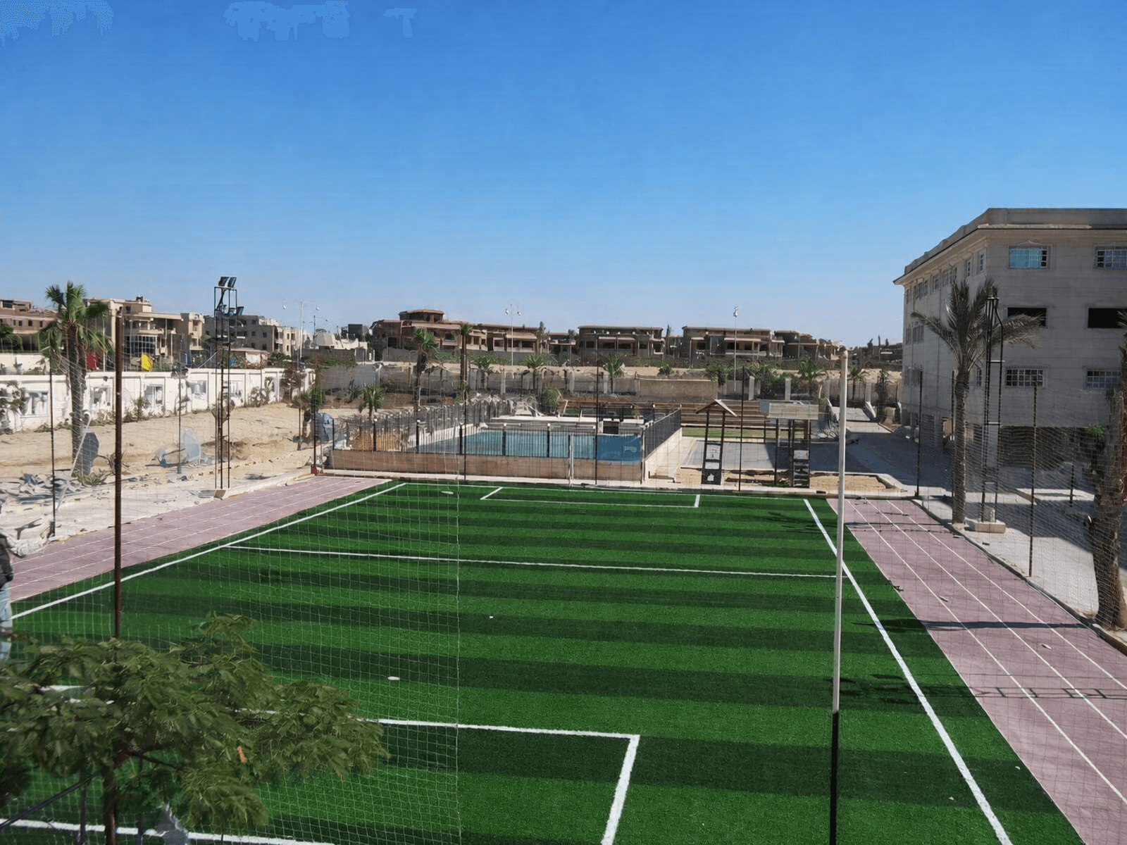 Artificial Grass