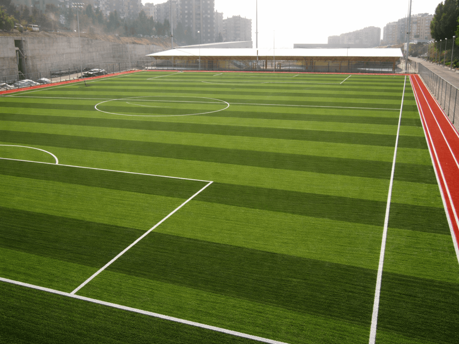 Artificial Grass