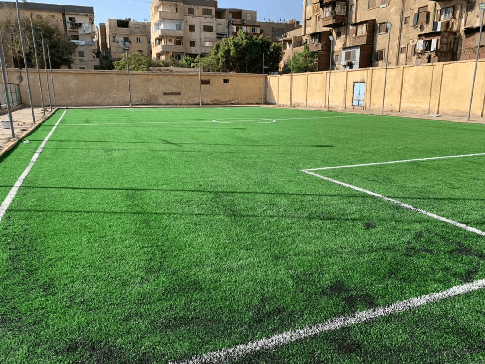 Artificial Grass