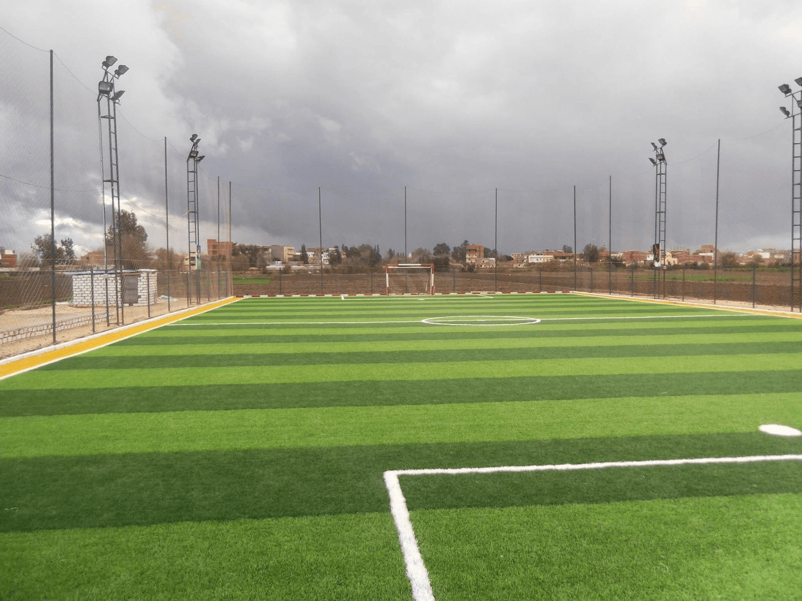 Artificial Grass
