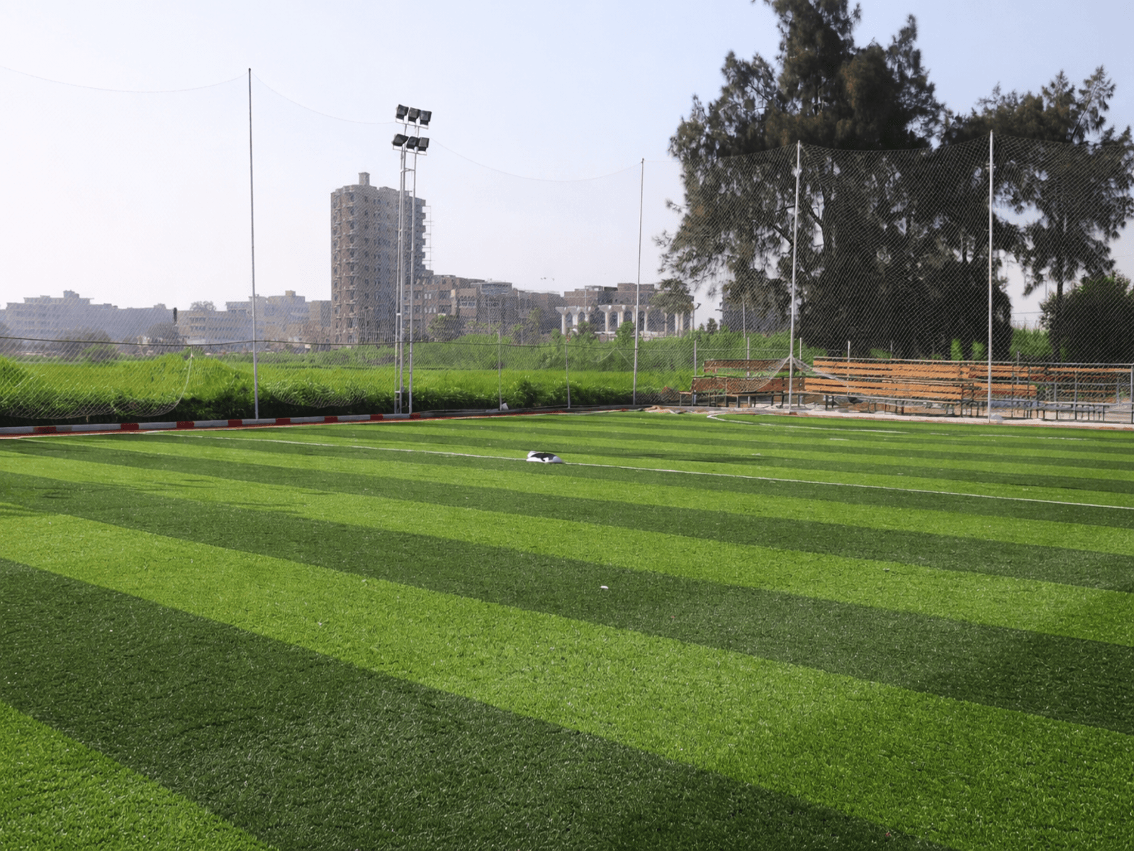 Artificial Grass