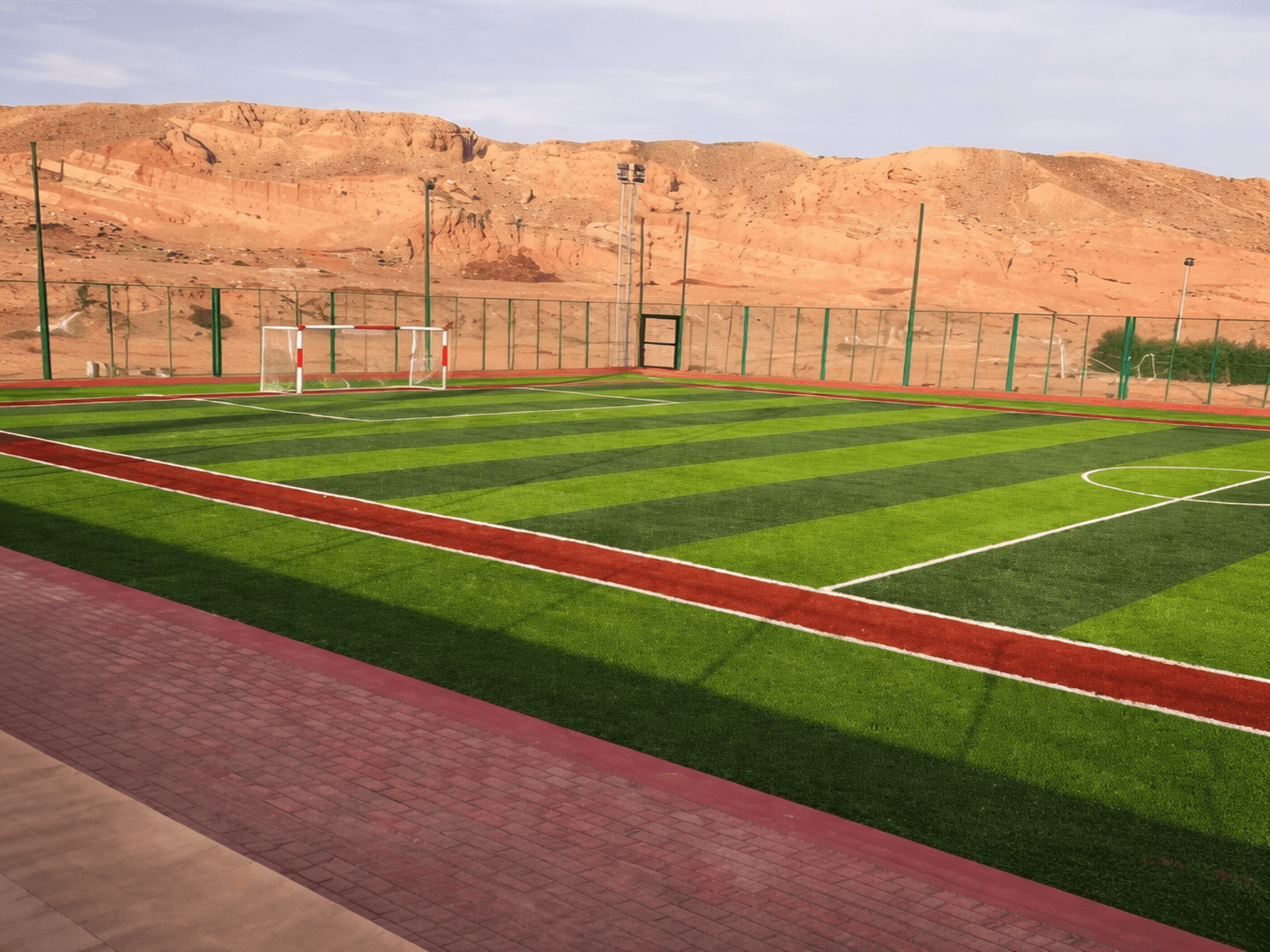Artificial Grass