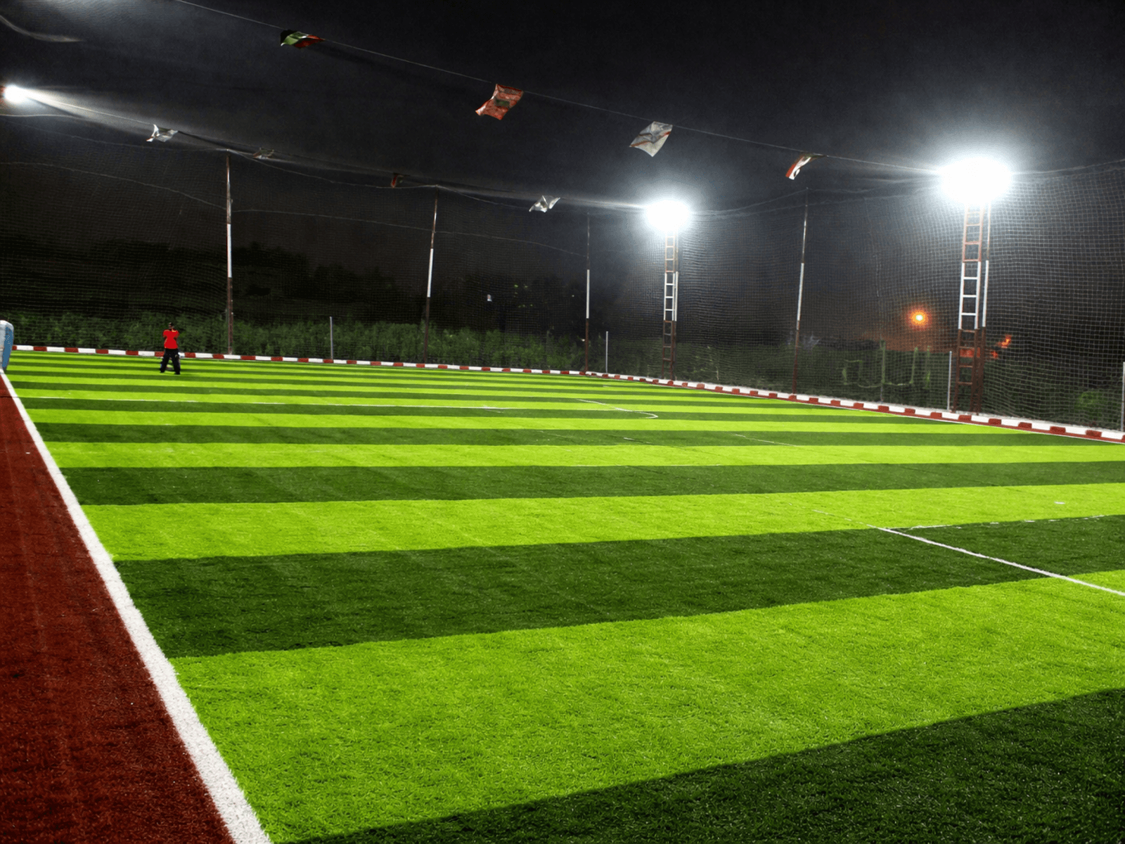 Artificial Grass