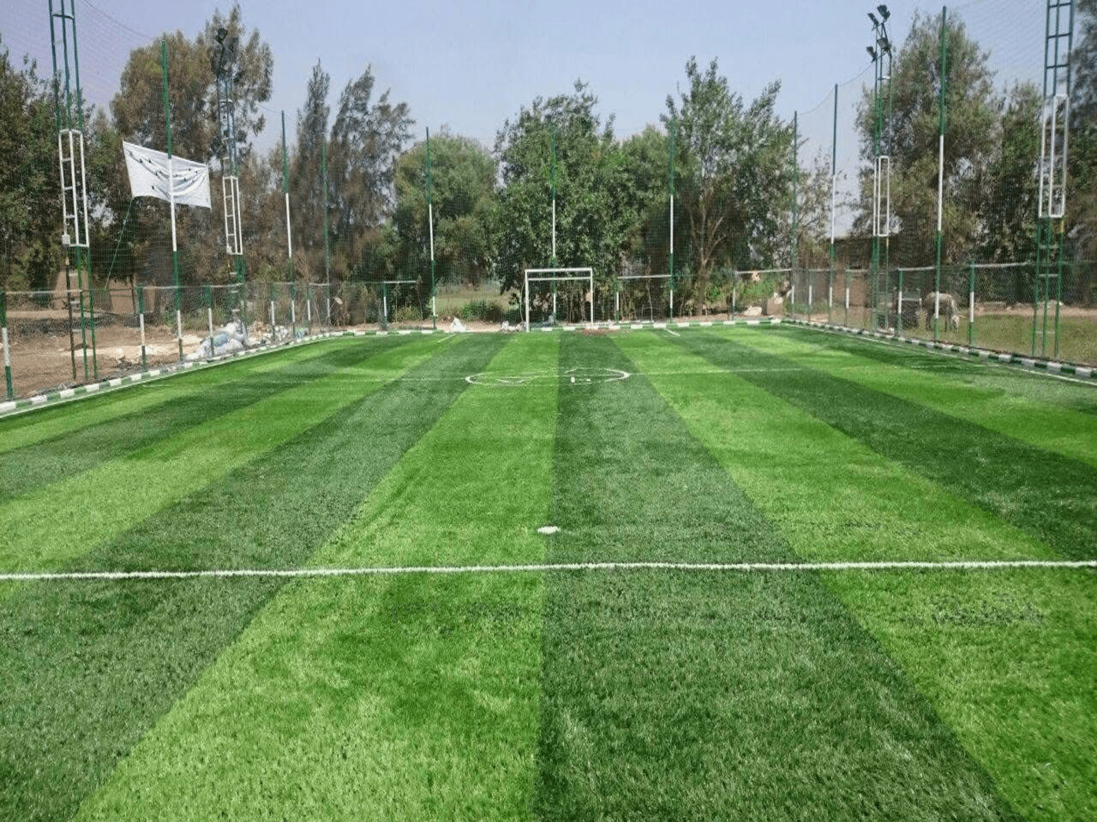 Artificial Grass