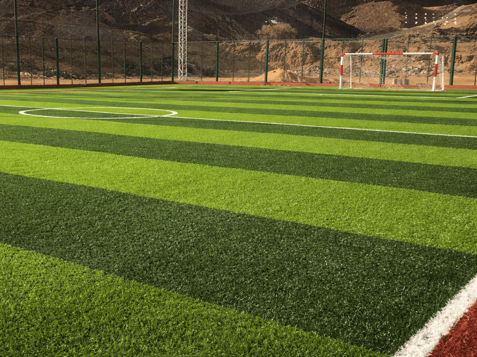 Artificial Grass