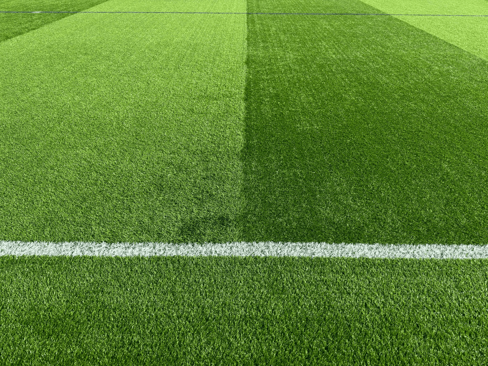 Artificial Grass